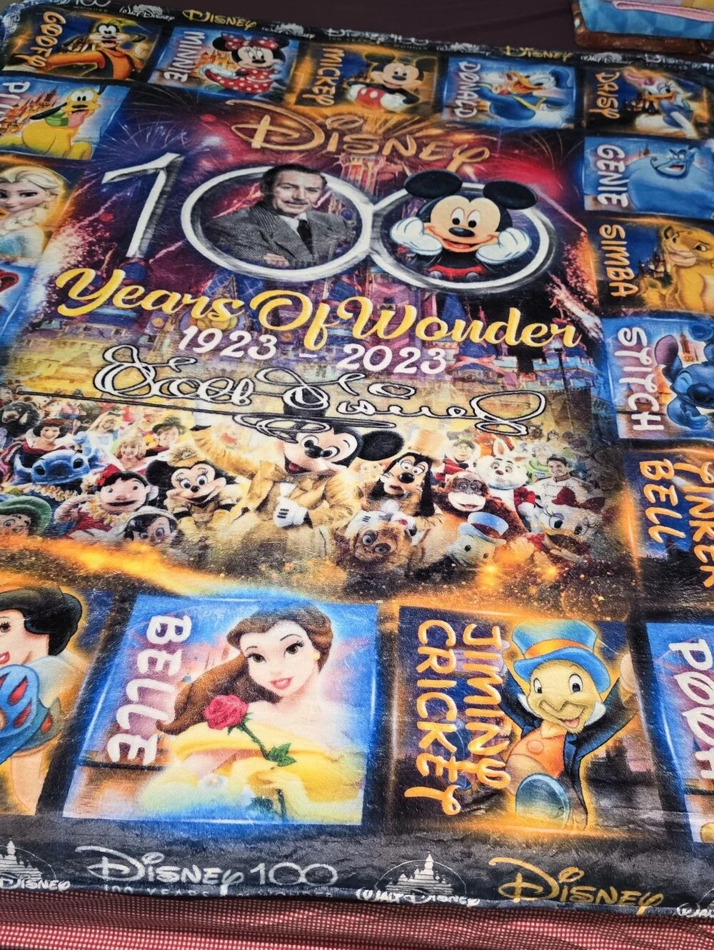 Disney 100 Years of Wonder Multicolor Throw Blanket